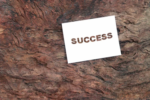 Inspiration Koncept White Paper Cutting Ordet Success — Stockfoto