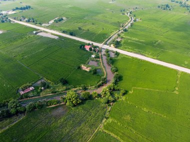 Asya 'daki yeşil pirinç tarlaları, insansız hava araçlarının hava fotoğrafları.