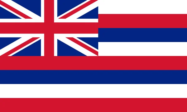 Flat Hawaii State Flag Usa — Stock Photo, Image