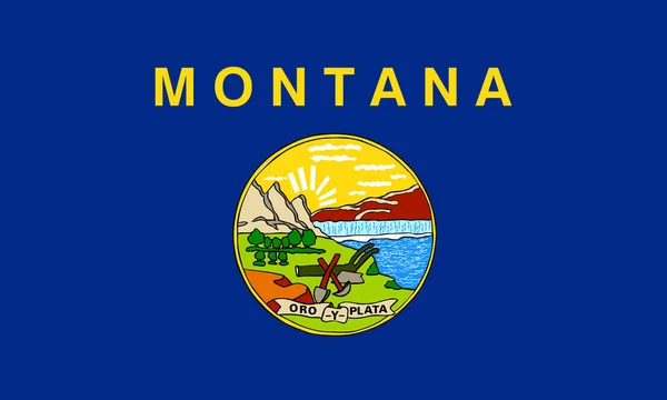 Vlakke Montana Vlag Usa — Stockfoto