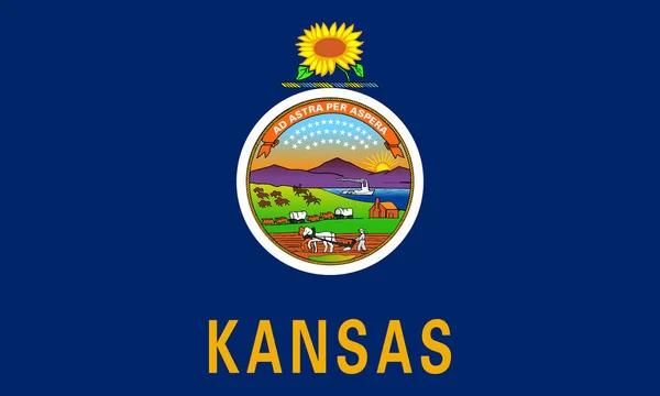 Platte Kansas Vlag Usa — Stockfoto