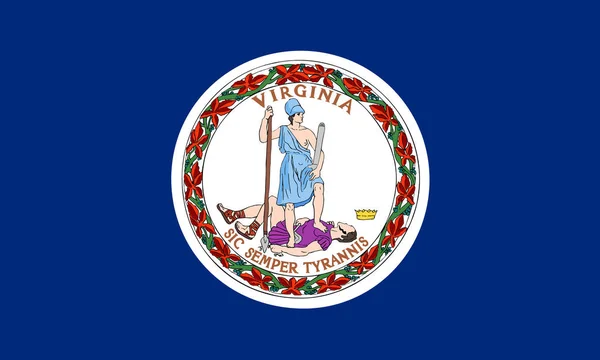 Plochý Virginia Státu Vlajky Usa — Stock fotografie