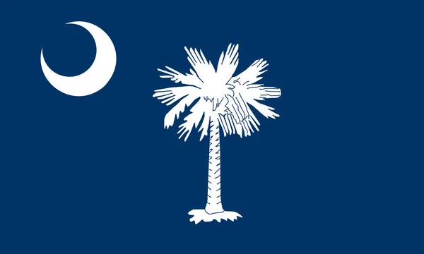 Bandeira Estado Carolina Sul Plana Eua — Fotografia de Stock