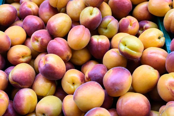 Group of ripe apricots Stock Picture
