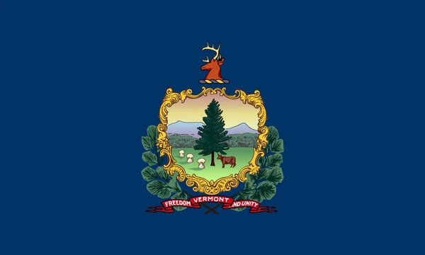 Platt Vermont State Flag-USA — Stockfoto