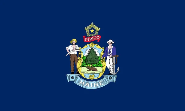 Flache Maine State Flagge - USA Stockbild