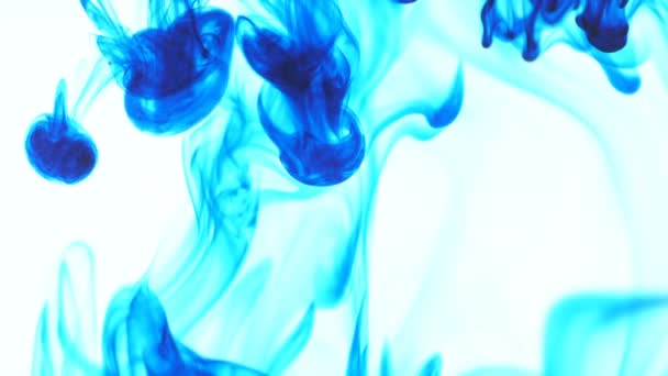 blaue Lebensmittelfarbe Tinte Tropfen in Wasser auf weißem Hintergrund. abstrakte Lebensmittelfarbe Farbtropfen im Wasserhintergrund für Filmdesign. 3840x2160 4k hochauflösendes Filmmaterial