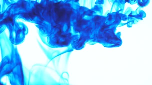 Cor Comida Azul Gota Tinta Água Fundo Branco Abstrato Cor — Vídeo de Stock