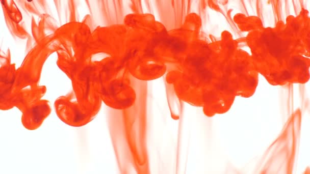 Couleur Alimentaire Orange Goutte Encre Dans Eau Sur Fond Blanc — Video