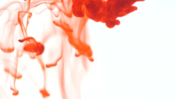 橙色食物颜色墨水滴在水上白色背景 抽象食品色墨滴在水背景下的素材设计 3840X2160 高分辨率素材 — 图库视频影像