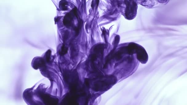 Purple Violet Couleur Alimentaire Goutte Encre Dans Eau Sur Fond — Video