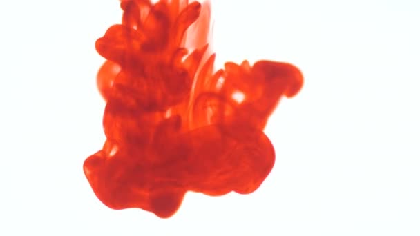 Orange Lebensmittelfarbe Tinte Tropfen in Wasser auf weißem Hintergrund. abstrakte Lebensmittelfarbe Farbtropfen im Wasserhintergrund für Filmdesign. 3840x2160 4k hochauflösendes Filmmaterial