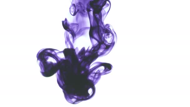 Purple Violet Couleur Alimentaire Goutte Encre Dans Eau Sur Fond — Video