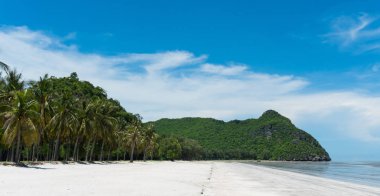 Yeşil ağaç kaya veya taş dağ ya da Sam Phraya Beach Prachuap Khiri Khan Tayland hill ve Hindistan cevizi ağacı. Kır manzarası ya da doğal sahne