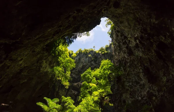 Furo Luz Solar Phraya Nakhon Cave Com Árvore Verde Céu — Fotografia de Stock