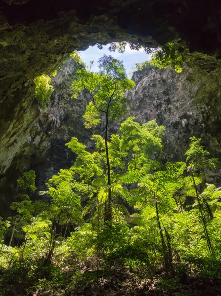 Solen Lätt Hål Phraya Nakhon Cave Med Gröna Träd Och — Stockfoto