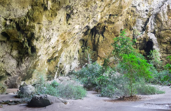 Dentro Phraya Nakhon Cueva Con Estalactitas Estalagmitas Árbol Verde Prachuap — Foto de Stock