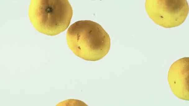 Pequeños Frutos Naranjas Caen Agua Sobre Fondo Blanco Gota Cítricos — Vídeos de Stock