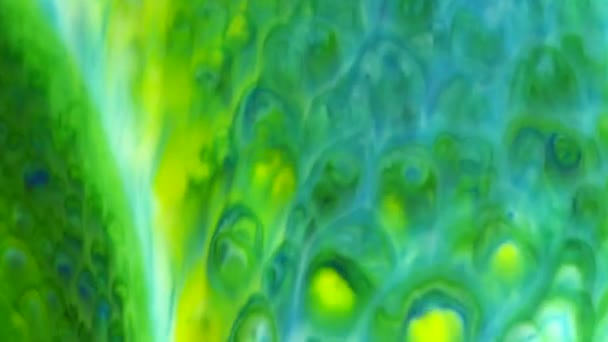 Blauw Geel Groen Stream Abstracte Voedsel Kleur Inkt Verplaatsen Vloeiende — Stockvideo