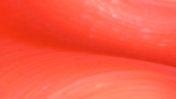 Red Green Stream couleur alimentaire abstraite encre de fond en mouvement ou fluide. Encre colorée abstraite de couleur alimentaire se dissolvant sur la surface du lait pour fond de concept artistique. 4k 3840x2160 séquences haute résolution 