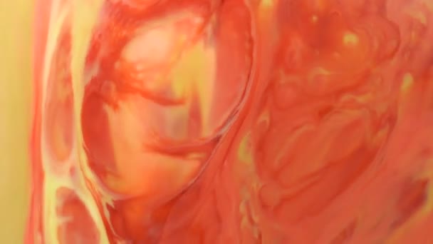 橙色红流抽象食物颜色墨水移动或流动的背景 抽象五颜六色的食物彩色油墨溶解在牛奶表面为艺术概念背景 3840X2160 高分辨率镜头用于设计 — 图库视频影像