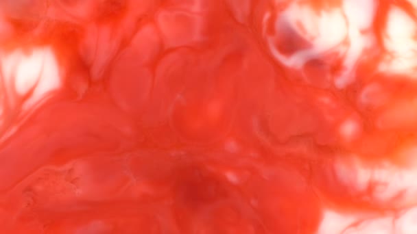 Red Stream Abstract Food Color Ink Moving Flowing Background Abstract — Stock Video