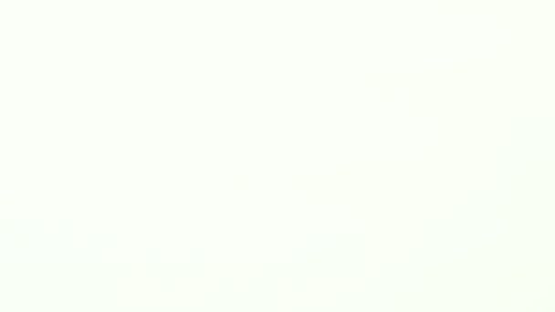 Brown Shimeji Mushroom Drop in Water on White Background. Champignon Shimeji brun alimentation saine ou super haute résolution images 4k 3840x2160 pour la catégorie alimentaire 