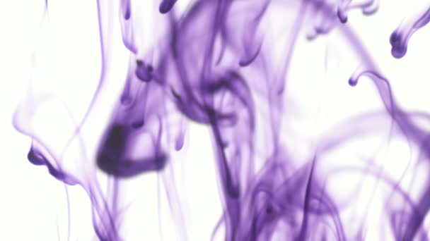 Paarse Violette Voedsel Kleur Inkt Laten Vallen Water Witte Achtergrond — Stockvideo