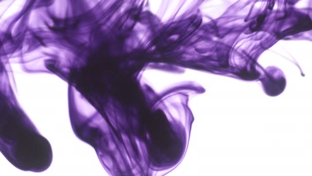 紫またはスミレ色の食品の色インクは 白い背景上に水にドロップします 抽象的な食品の色インクは 水の映像設計のための背景にドロップします 3840 2160 高解像度映像 — ストック動画