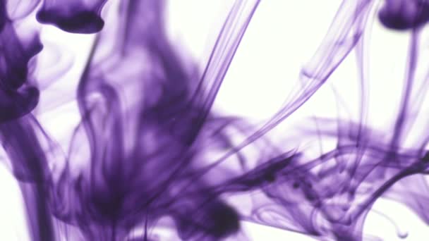 Purple Violet Couleur Alimentaire Goutte Encre Dans Eau Sur Fond — Video