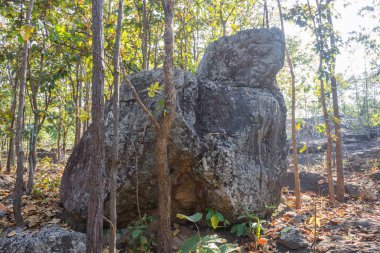King Seat Stone veya Rock At Phayao Konumlar Kuzey Tayland 