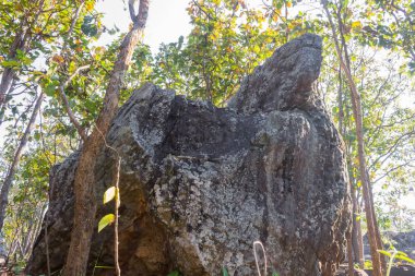 King Seat Stone veya Rock At Phayao Konumlar Kuzey Tayland 