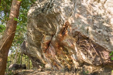Stone Rock Cliff Mountain Hill veya Pha Ngerp Phayao Gözde Mekan N