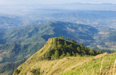 Phu Nom Sarı Güneş Işık Normal phu Langka Milli Parkı'nda
