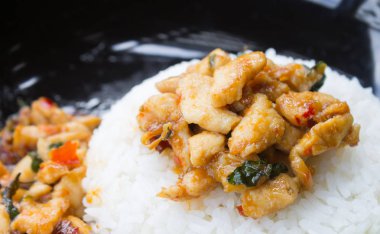 Stir-Fried Tavuk ve Kutsal Fesleğen Pirinç veya Tay Gıda Tarifi Ri doğum
