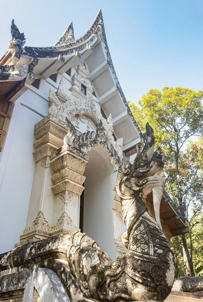 Пхаяо Таиланд Декабря 2019 Года Белая Тайская Церковь Змеем Нагой — стоковое фото