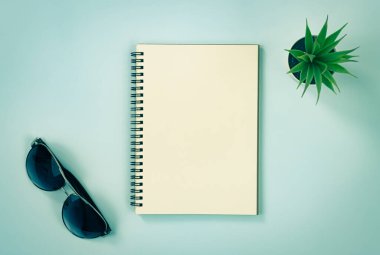 Spiral Not Defteri ya da Çizgisiz Tür ve Ofis Bitkisi ve Mavi Pastel Minimalist Arkaplan Üzerine Güneş Gözlüğü