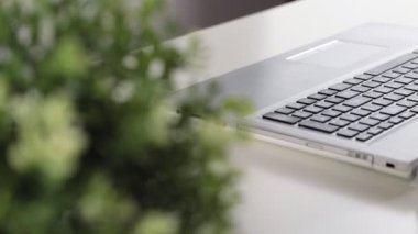 Masada beyaz dizüstü bilgisayar ve Kamyon Çekim Kamerası Görünümünde ofis bitkisi