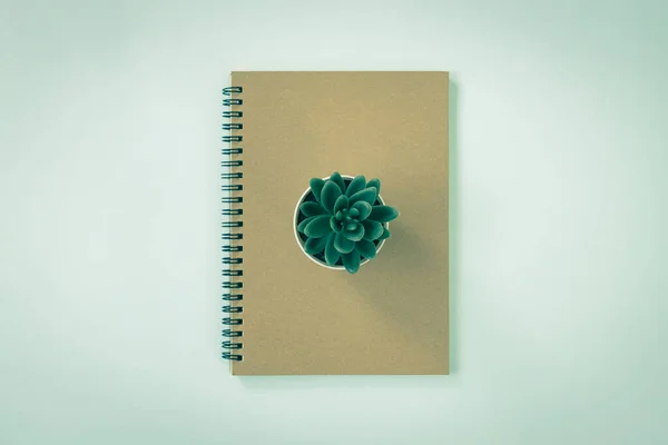 Carnet Spirale Couverture Brune Carnet Printemps Type Non Doublé Kalanchoe — Photo