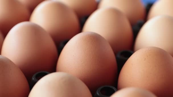Περιστροφή Shot Αυγό Κοτόπουλου Στην Σχάρα Προβολή Εστίασης — Αρχείο Βίντεο