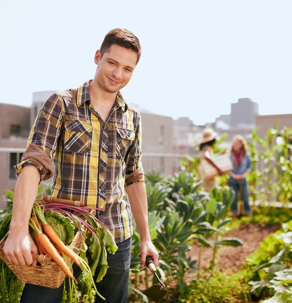 Equipe amigável colhendo legumes frescos do jardim com efeito de estufa no telhado e planejando a estação de colheita — Fotografia de Stock