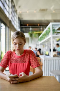 Bitkiler ile modern bir tropikal ve parlak restoranda cep telefonu bakarak genç sarışın kafkas doğal bin yıllık kadın Lifestyle çekim