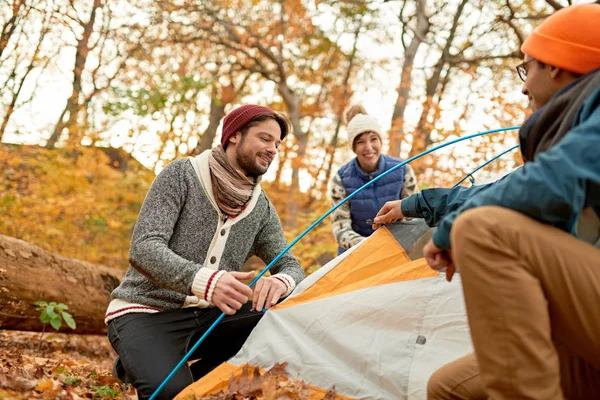 Grupo de excursionistas canadienses instalando una tienda de campaña en un bosque de otoño — Foto de Stock