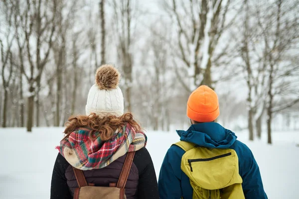 Разнообразная пара гуляет на природе по Канаде, гуляя по зимнему лесу — стоковое фото