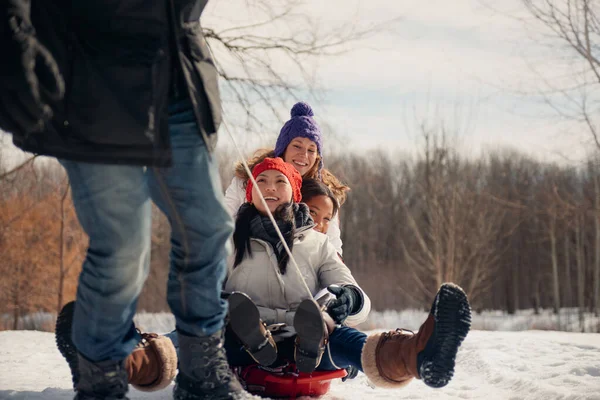 Grupo de amigos disfrutando tirando de un trineo en la nieve en invierno — Foto de Stock