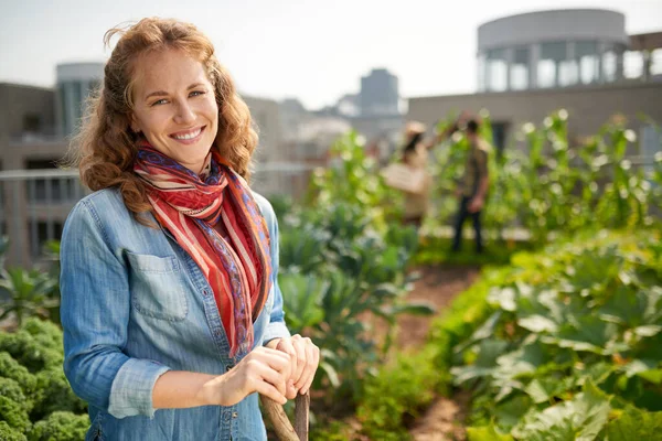 Mujer amable cosechando verduras frescas de la azotea gree —  Fotos de Stock