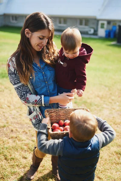 Привлекательная мать тысячелетия с милыми маленькими детьми в органи — стоковое фото