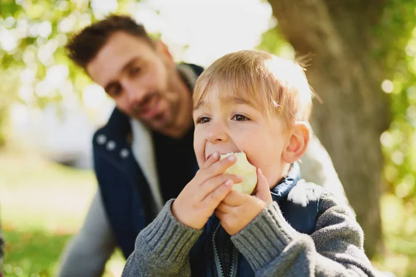 Милый мальчик кусает свежие органические фрукты во время аппликации — стоковое фото