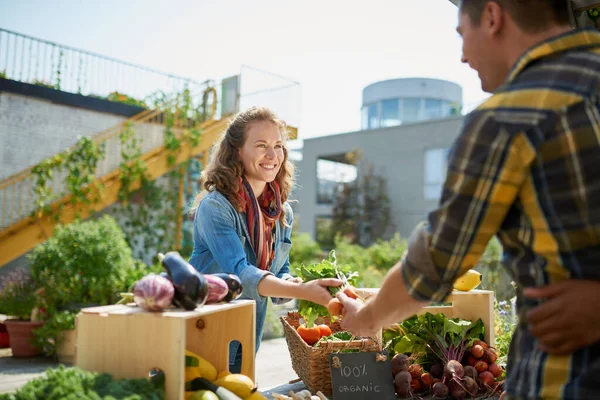 Femme amicale s'occupant d'un étal de légumes biologiques chez un agriculteur — Photo