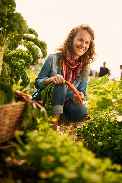 Freundliche Frau erntet frisches Gemüse aus dem Dachgewächshausgarten — Stockfoto